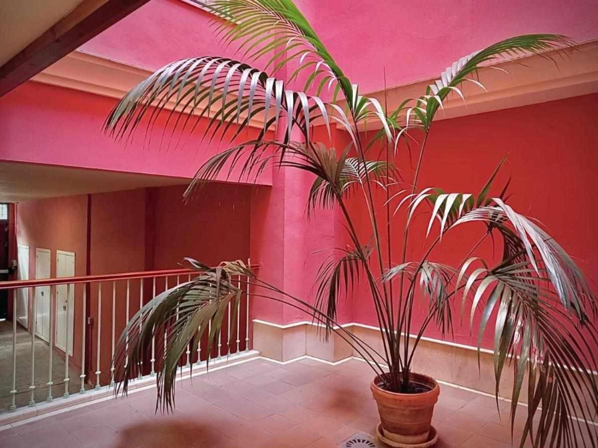 Apartamento Sauceda 7 Севілья Екстер'єр фото